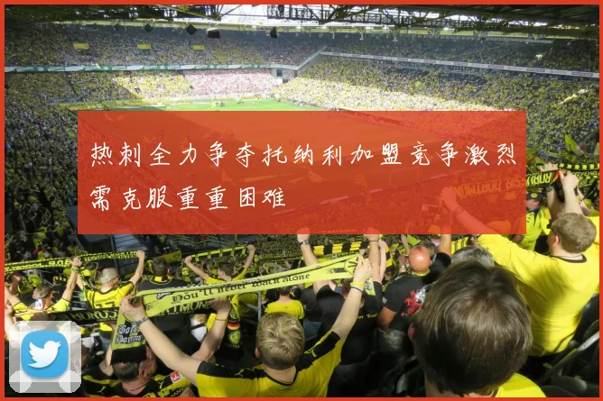 热刺全力争夺托纳利加盟竞争激烈需克服重重困难