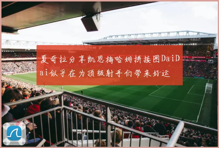 夏奇拉分享凯恩梅哈姆拼接图DaiDai似乎在为顶级射手们带来好运