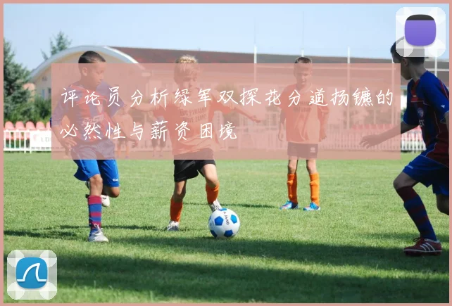 评论员分析绿军双探花分道扬镳的必然性与薪资困境
